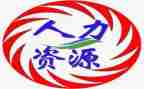 人力工作半年度总结7篇