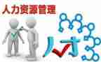2024年人力工作总结优质5篇