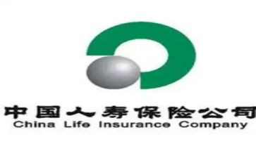 人寿保险的心得7篇