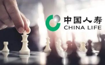 人寿保险的心得模板7篇