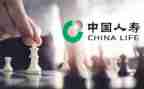 人寿保险的心得模板7篇