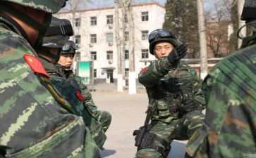 旗人武部个人总结6篇