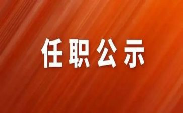 个人任职工作总结5篇