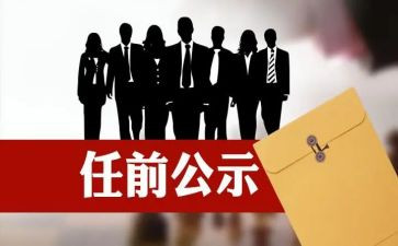 自任职以来的个人总结6篇