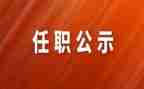 个人任职工作总结5篇