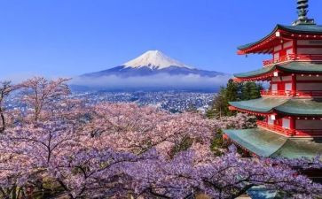 日本观后感8篇