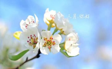 小班三月份工作计划6篇