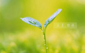 教师三月份工作计划8篇