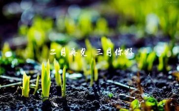 幼儿园大班三月工作总结8篇