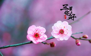 三月段工作总结最新8篇