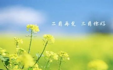 三月份幼儿园工作总结最新6篇