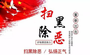 2023扫黑办个人总结6篇