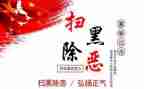 2023扫黑办个人总结6篇