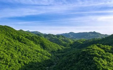 家乡的山作文300字5篇