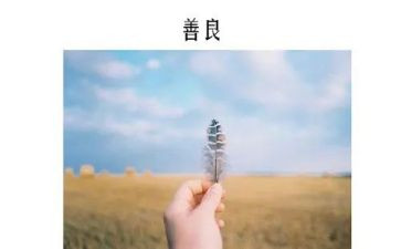 善文化队活动方案最新7篇