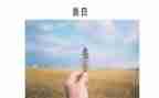 善文化队活动方案最新7篇