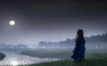 猫伤心的作文推荐8篇