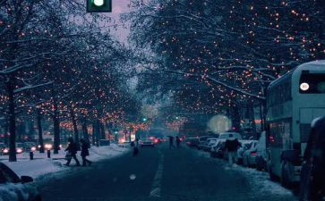 猫伤心的作文通用5篇