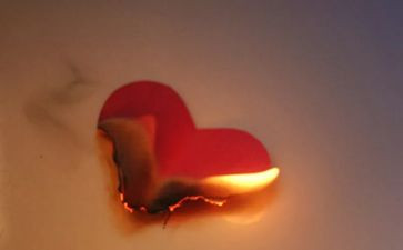 猫伤心的作文优质5篇