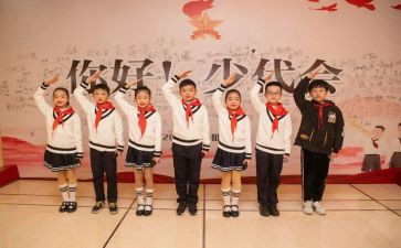 入少先队活动总结6篇