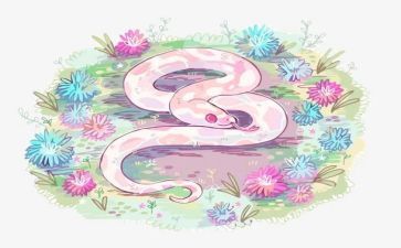 中班认识蛇教案优质5篇