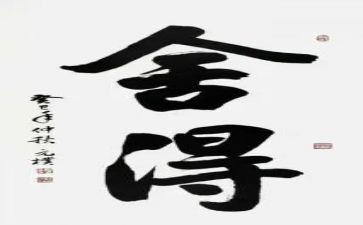 《舍得》读后感7篇
