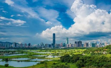 2024年深圳房屋租赁合同优秀7篇