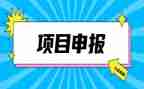 教师申报职称个人总结7篇