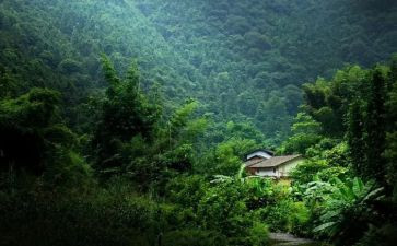 记忆深处作文500字7篇