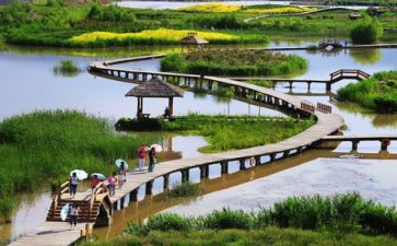 生活述职报告范文7篇