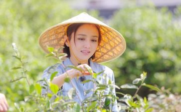 生活部个人年度总结5篇