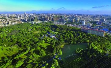 生活处处有_作文优质7篇