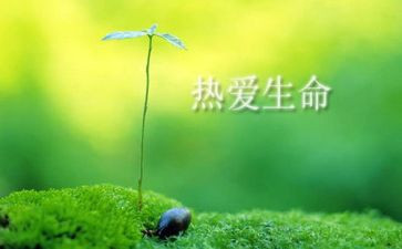 生命感悟的作文通用7篇