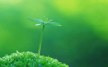 生命的教育心得体会参考6篇
