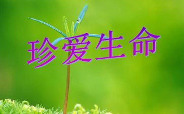 生命感悟的作文模板8篇