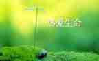 生命感悟的作文通用7篇
