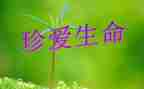 幼儿园对生命的教育心得8篇