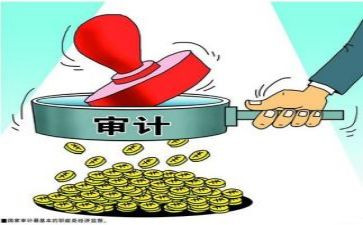 审计事个人总结通用8篇