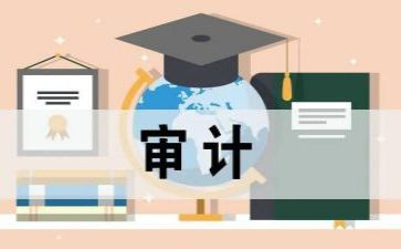 审计的心得体会范文8篇