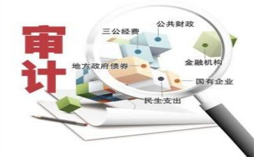 审计个人总结年度总结参考6篇