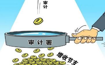 校长务审计述职报告5篇