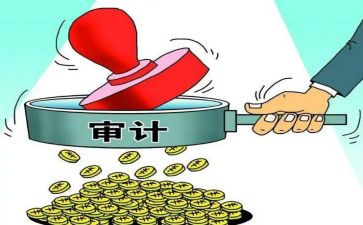 审计事个人总结优秀8篇