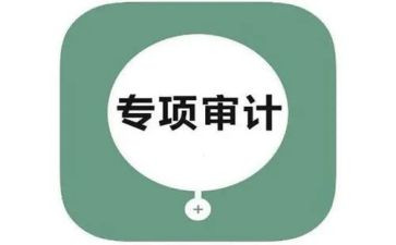 2023年度审计工作计划8篇