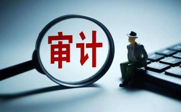 内部审计个人工作总结6篇