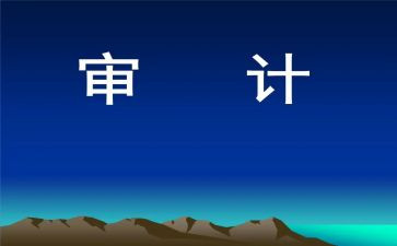 审计公司个人总结范文5篇