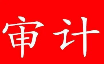 内部审计工作总结模板6篇