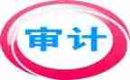 审计报告个人总结模板7篇