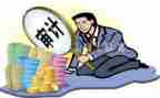 审计年度个人总结范文5篇
