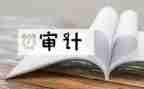 总审计师述职报告6篇