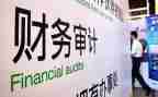 审计个人总结年度总结8篇